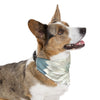 Mia Collection Pet Bandana Collar