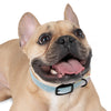 Dog Collar- Mia™