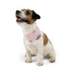 Mia Collection Pet Bandana Collar