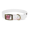 Mia Collection Dog Collar