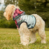 Mia Collection Pet Hoodie