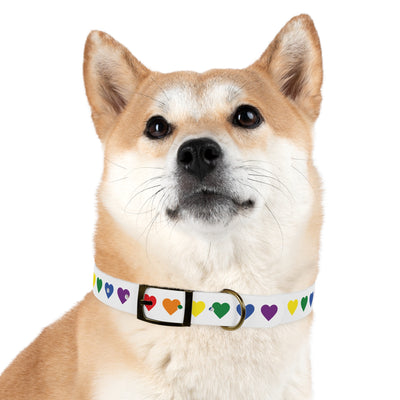 Mia Collection Dog Collar