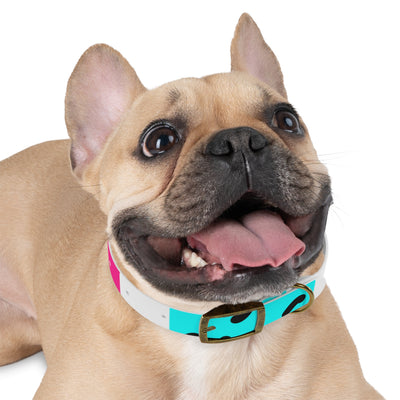 Mia Collection Dog Collar