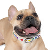 Mia Collection Dog Collar