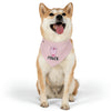 Mia Collection Pet Bandana Collar