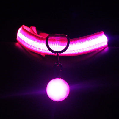 Pet Collar Luminous Fashion