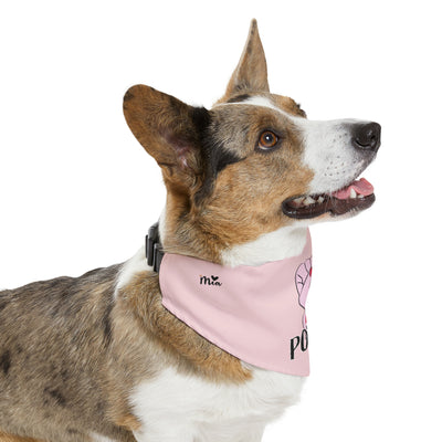 Mia Collection Pet Bandana Collar