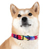 Mia Collection Dog Collar