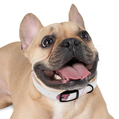 Mia Collection Dog Collar