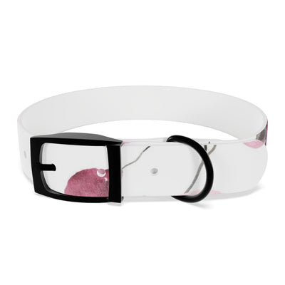 Mia Collection Dog Collar