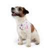 Mia Collection Pet Bandana Collar