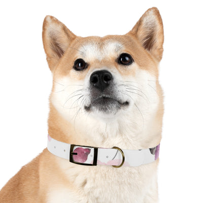 Mia Collection Dog Collar