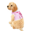 Mia™ Line's Pet Hoodies!