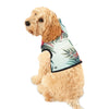 Mia Collection Pet Hoodie