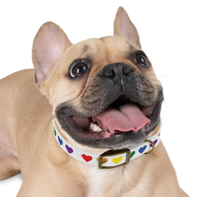 Mia Collection Dog Collar