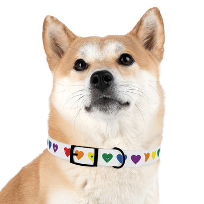 Mia Collection Dog Collar