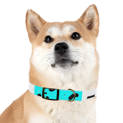 Mia Collection Dog Collar