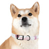 Mia Collection Dog Collar