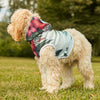 Mia Collection Pet Hoodie