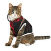 Mia Collection Pet Hoodie