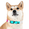 Mia Collection Dog Collar