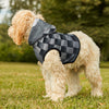 Mia Collection Pet Hoodie