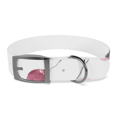 Mia Collection Dog Collar