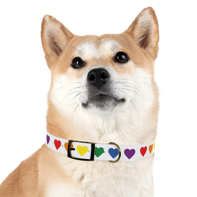 Mia Collection Dog Collar