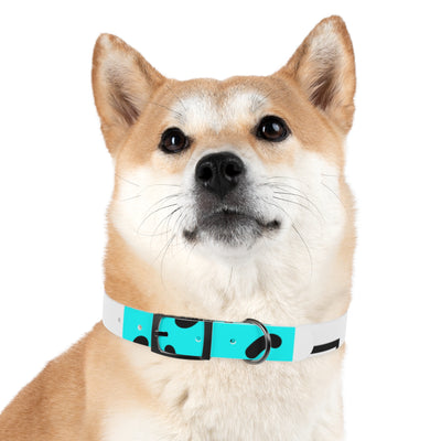 Mia Collection Dog Collar