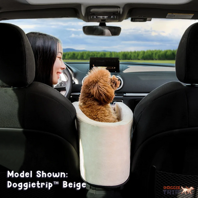 Safety Car Seat for Small Pets