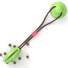 Silicon Suction Cup Tug Dog Toy