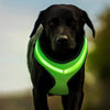 LED Luminous Dog Chest Strap Rechargeable Harness