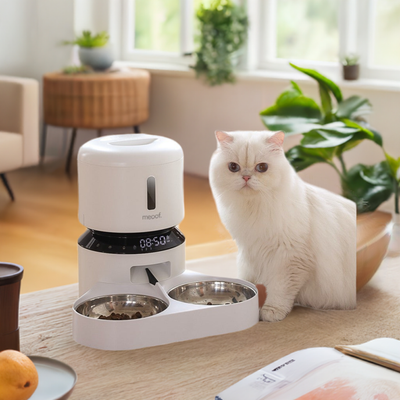 Capsule Automatic Feeder Cat and Dog Feeding Double Bowl