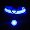 Pet Collar Luminous Fashion