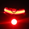 Pet Collar Luminous Fashion