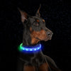 Hi-Tech Flash Collar USB Charging for Dogs