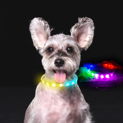 Hi-Tech Flash Collar USB Charging for Dogs