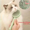 Pets One-key Hairbrush