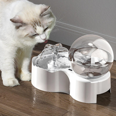 Pet water fountain Bowl