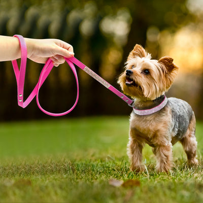 Suede leather Pet Collar