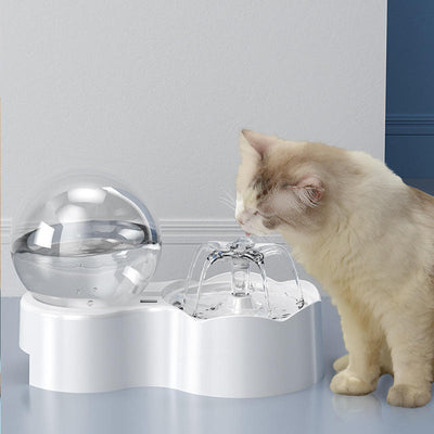 Pet water fountain Bowl