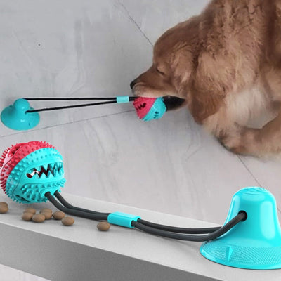 Silicon Suction Cup Tug Dog Toy